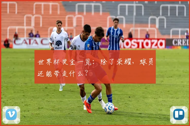 世界杯奖金一览：除了荣耀，球员还能带走什么？