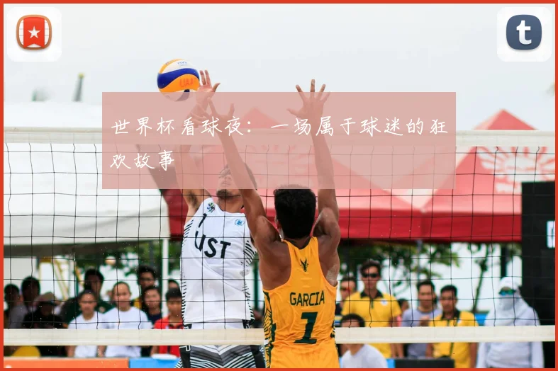 世界杯看球夜：一场属于球迷的狂欢故事