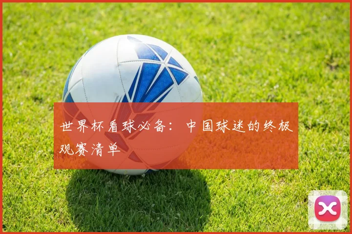 世界杯看球必备：中国球迷的终极观赛清单